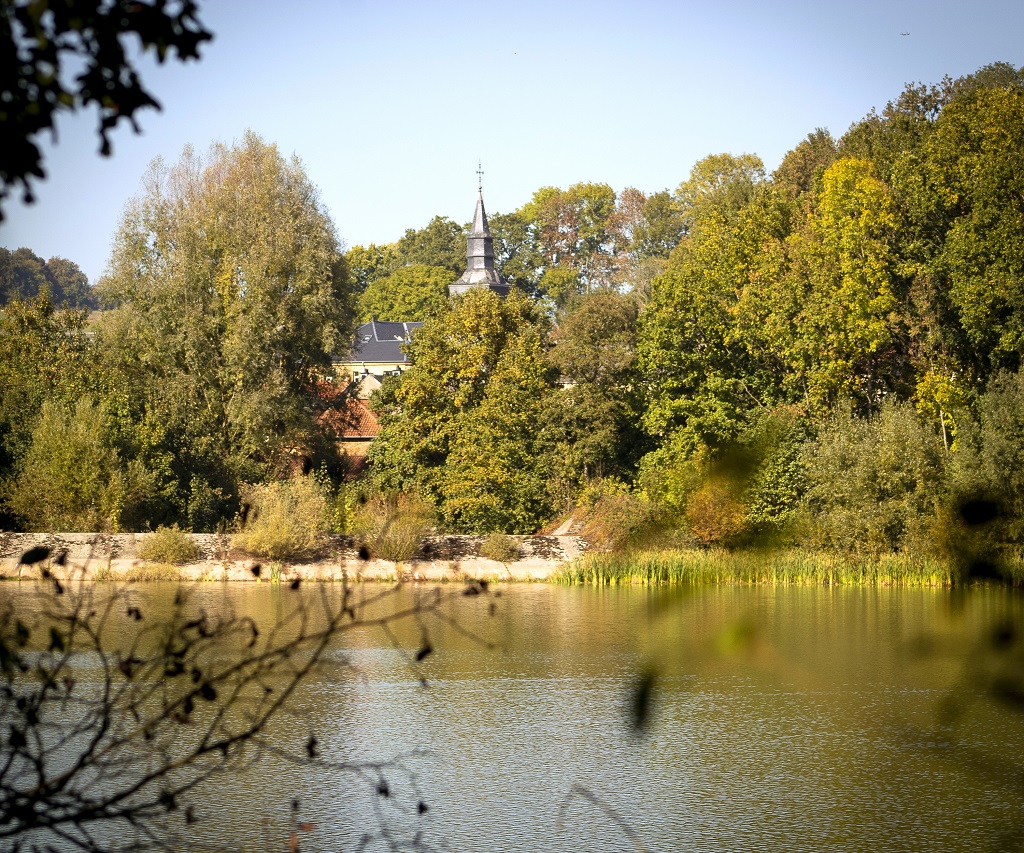 Balade nature aux étangs de Latour - Virton