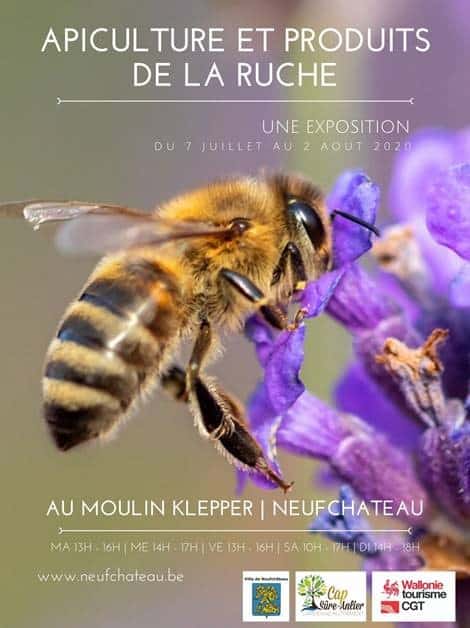 Expositions sur les abeilles à Neufchateau