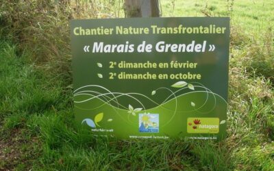 Attert > Chantier nature au marais